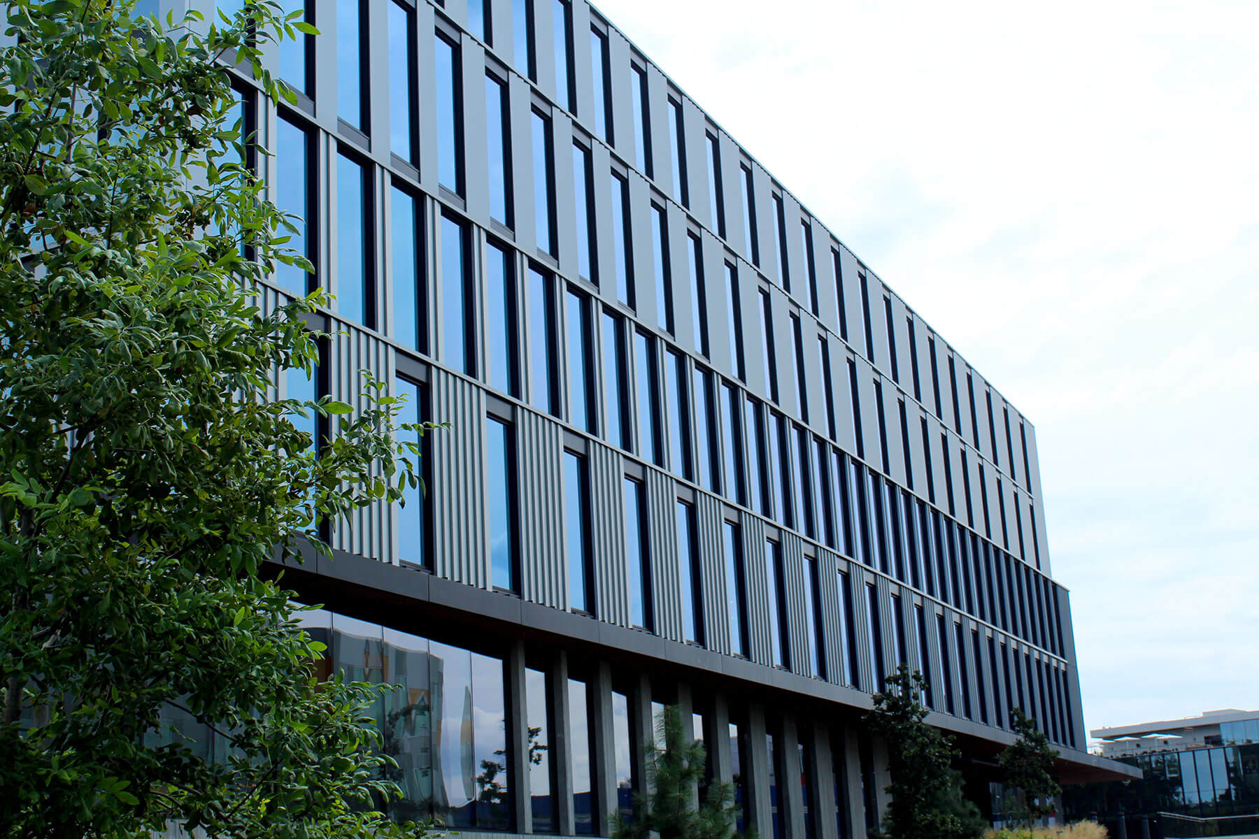 Main-Page-under-hero-web